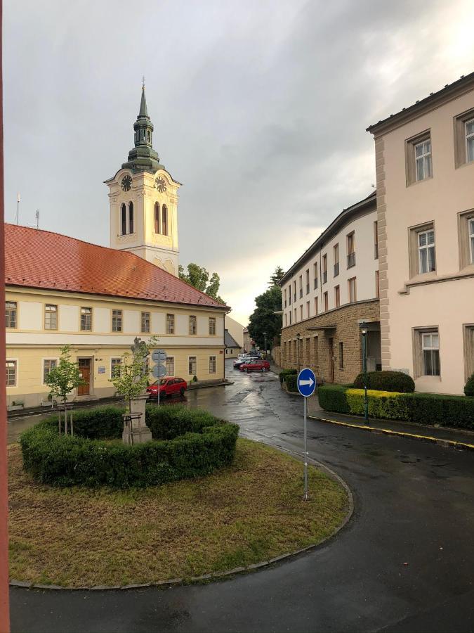 Villa Magdalena Kutna Hora Bagian luar foto