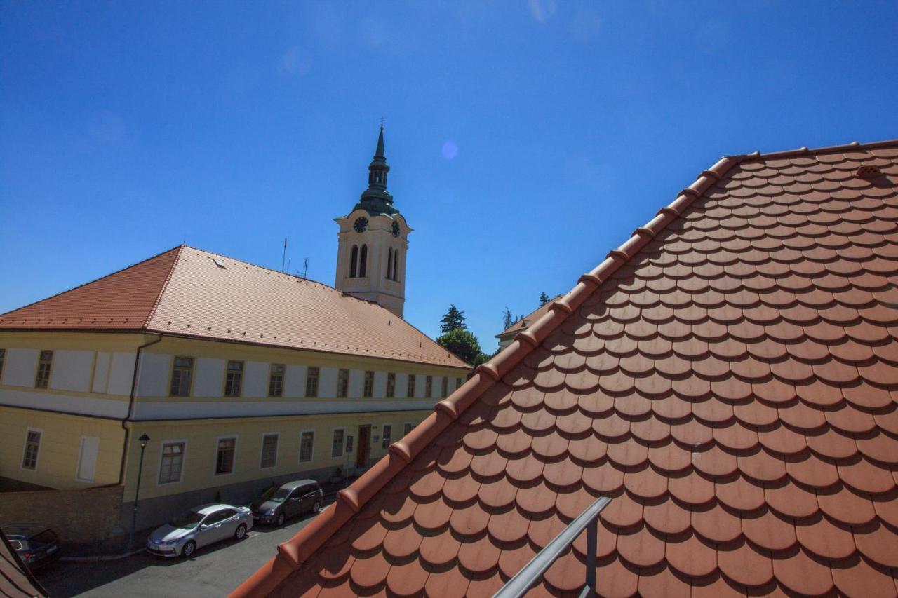 Villa Magdalena Kutna Hora Bagian luar foto